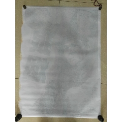 定制农业银行流水电子版PDF